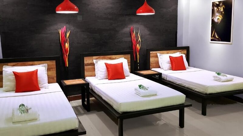 Single Bed in 5-Bed Dormitory Room