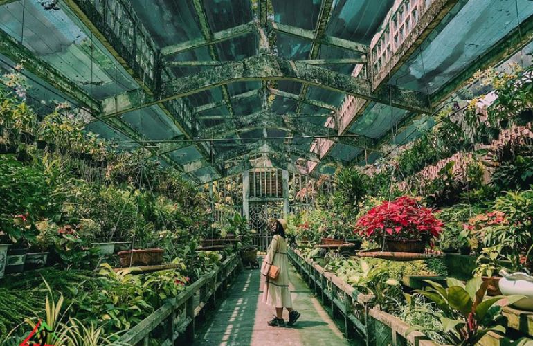 Saigon Zoo and Botanical Gardens in Ho Chi Minh City