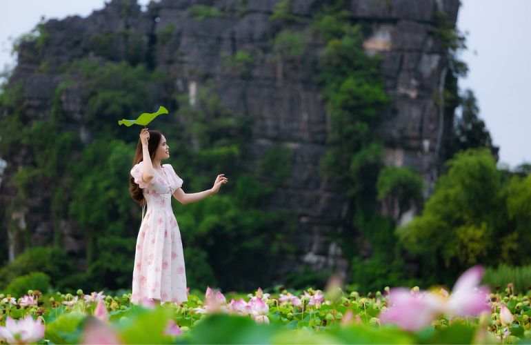 Flower in summer Ninh Binh