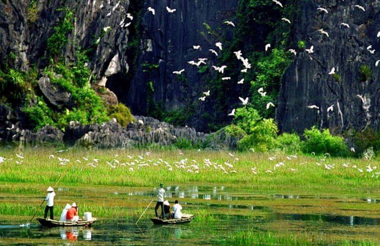 Thung Nham Bird Garden in Ninh Binh