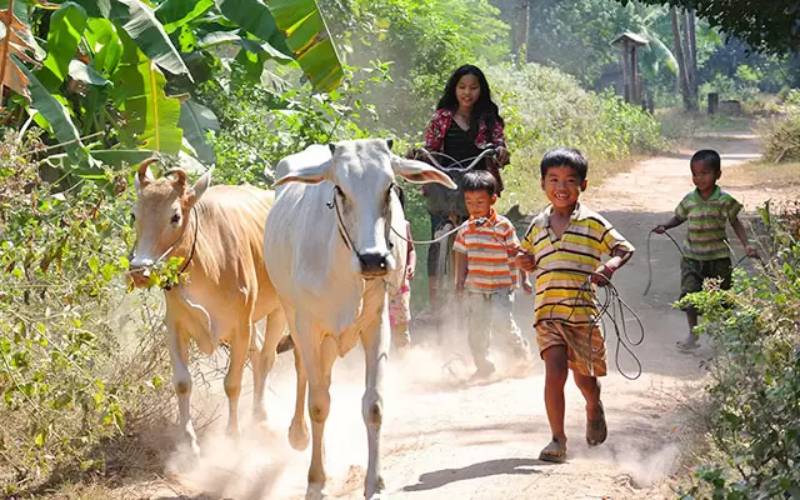 Kratie Hotels
