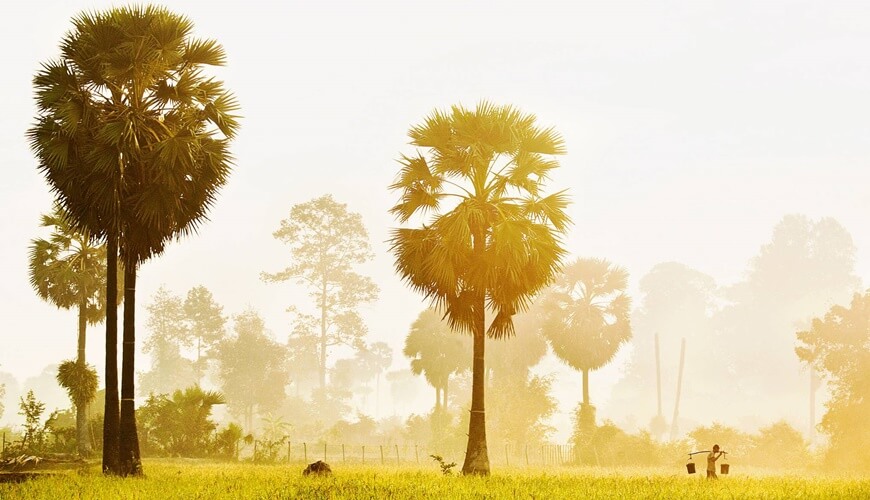 Phnom Penh to Saigon 5 Nights (CHARTER for 20 PAX)