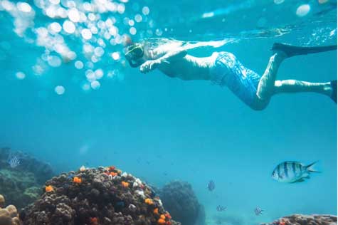 If you wish to book snorkeling, kayaking in advance, there might involve surcharges. 