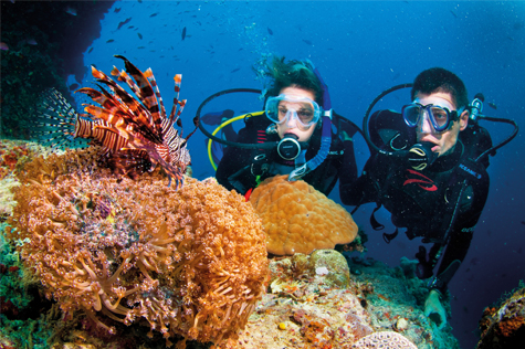 Tourists scuba diving in Danang Vietnam