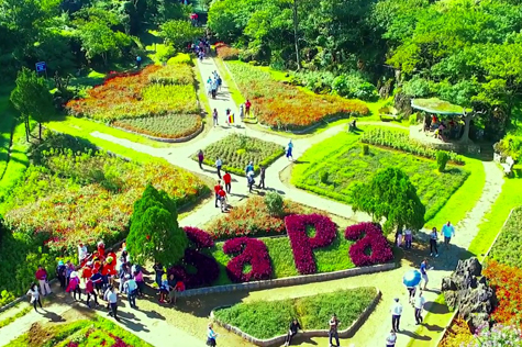 Flower garden in Sapa can be a great idea to visit