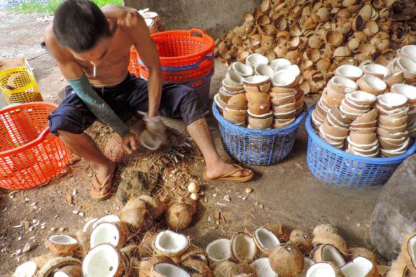 Half-day Mekong Delta Tour
