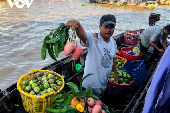 Mekong Delta Can Tho Full Day Tour